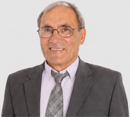 Secundino Gon&ccedil;alves Ferros